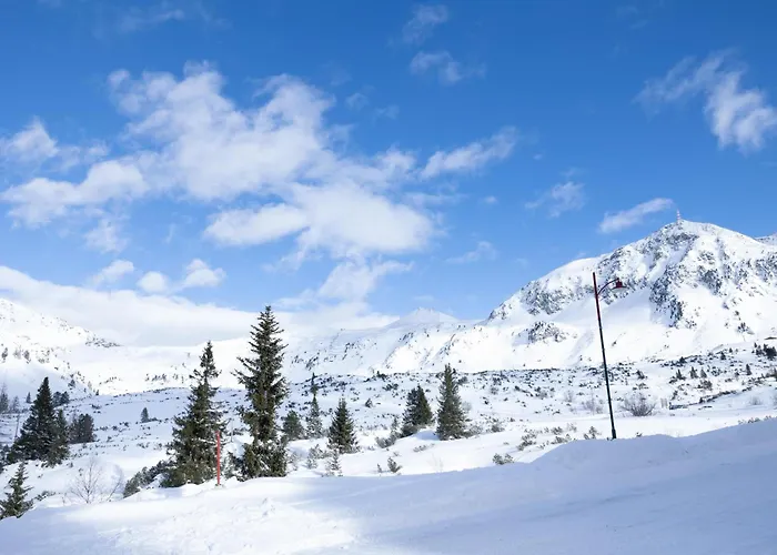 Central B&B Obertauern ゲストハウス